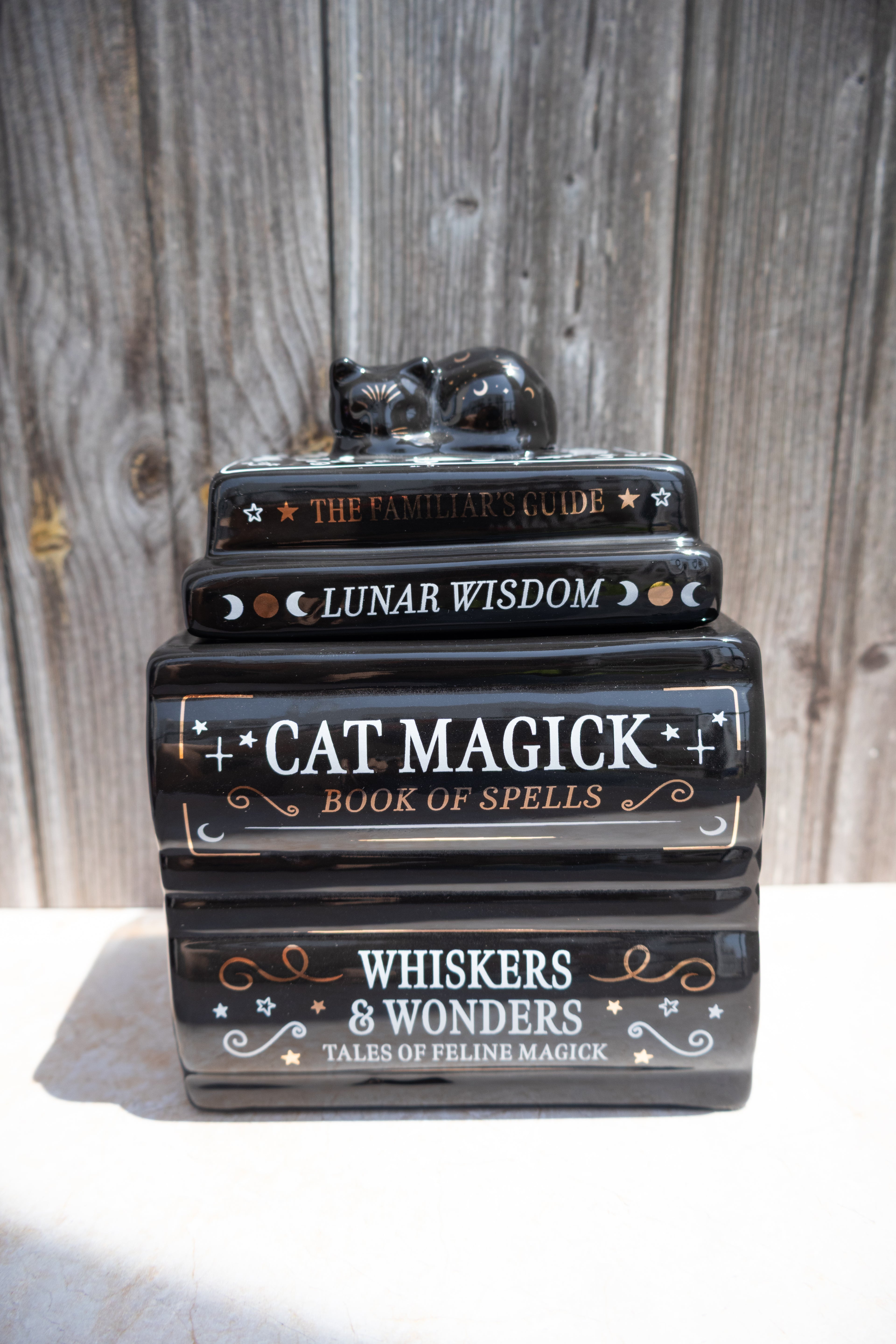 Quemador Gato Negro sobre Libros